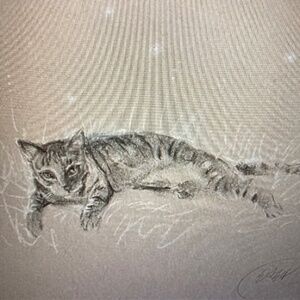 Cat sunbathing originated art handmade pastel charcoal artwork home decor USA